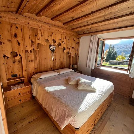 Daniela Apartment Кортина д'Ампецо Екстериор снимка