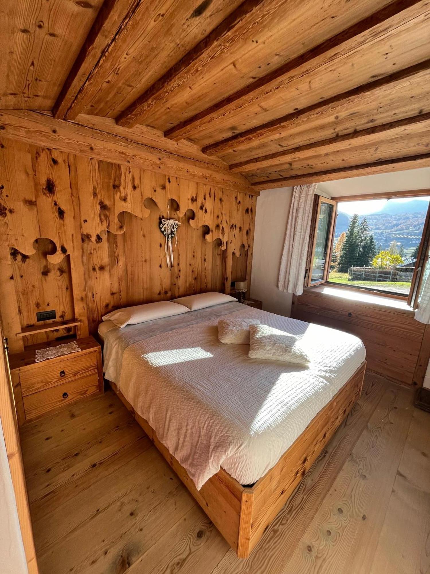 Daniela Apartment Кортина д'Ампецо Екстериор снимка